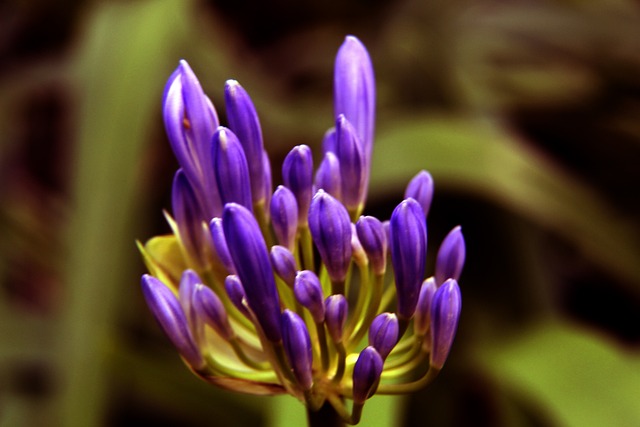 篮球篮网交易传闻不断，管理层保持沉默