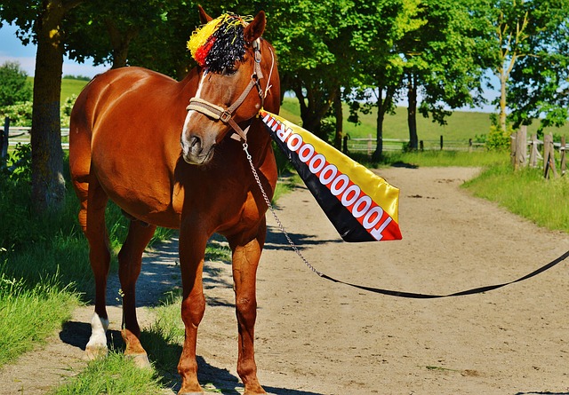 仅次于哈登&大梦！申京30+10+5场次排名火箭队史第三